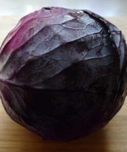 Red Acre Cabbage Vegetable Seed - 50 Seeds Pack