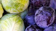 Red Acre Cabbage Vegetable Seed - 50 Seeds Pack - Image 5