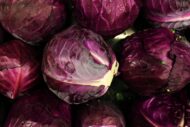 Red Acre Cabbage Vegetable Seed - 50 Seeds Pack - Image 7