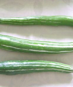 Snake Gourd Seeds – Pack of 25 Seeds for Home Gardening | Organic & Easy to Grow Indian Vegetable Seeds | Perfect for Kitchen Gardens & Backyard Farming