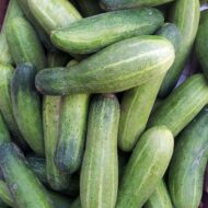 Cucumber Kakdi Seeds 50 Seeds