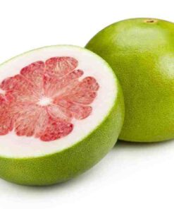 Live Dwarf Pomelo Lemon Citrus Maxima Batabi Fruit Plant