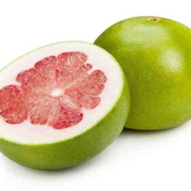 Live Dwarf Pomelo Lemon Citrus Maxima Batabi Fruit Plant
