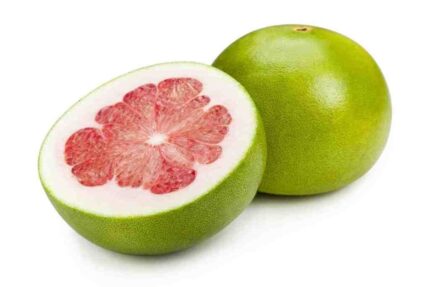 Live Dwarf Pomelo Lemon Citrus Maxima Batabi Fruit Plant