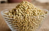 Coriander Seed, Cilantro, Chinese Parsley, Dhania Seed - Pack of 100 Seeds - Image 9