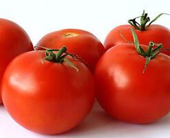 Tomato Large Red Vegetable Seeds