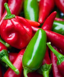 Hot Chilli Seeds Bullet 40 Seeds