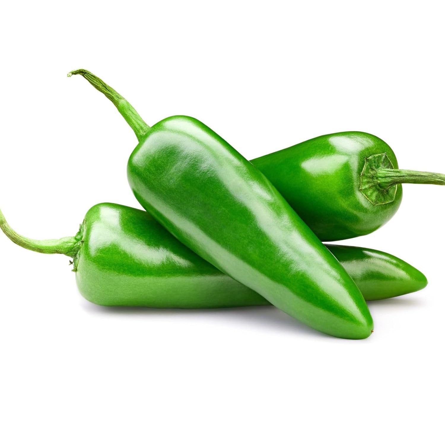 Hot Chilli Seeds Bullet 40 Seeds - Image 2