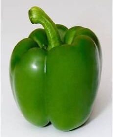 Sweet Green Pepper Capsicum Seeds 20 Seeds