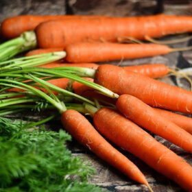 Orange Carrot Seed Desi Gajar Seed Vegetable Seed