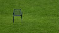 Lawn Grass Seeds - 15000 Seeds Pack - Image 4