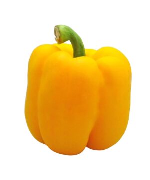 Yellow Bell Pepper Capsicum Vegetable Seeds